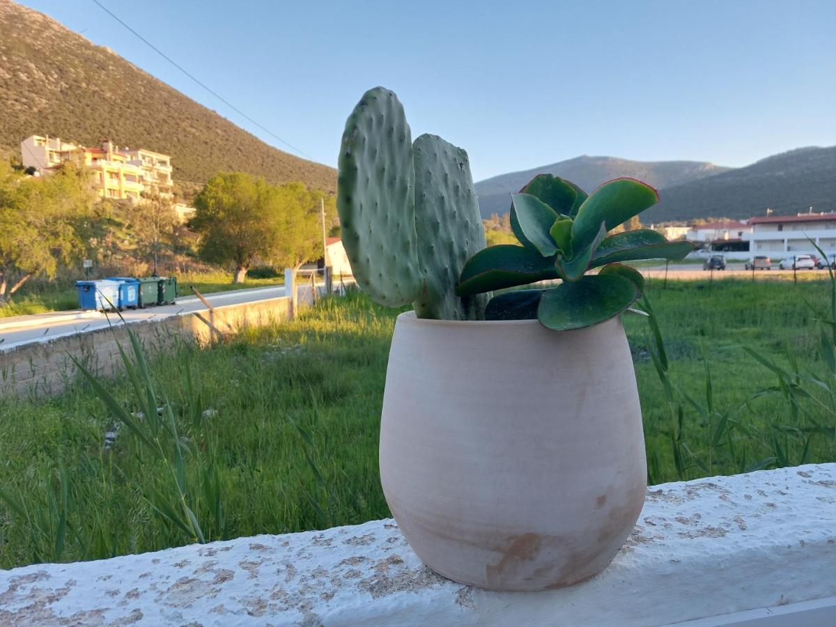 Vitamin Sea Apartment 4, Άνετο Διαμέρισμα. Almiropotamos Exterior photo
